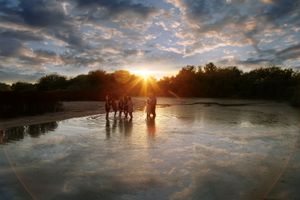 Silhouetted family wading in shallow water beneath a dramatic sunset sky with glowing clouds and trees.