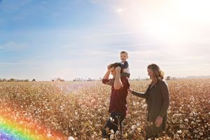 A father holds a toddler on his shoulders while walking with a mother through a sunlit cotton field with a rainbow flare.