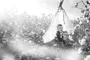 Black and white photo of a baby boy sitting in a cotton field beside a draped teepee with sun flare.