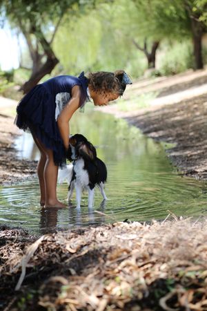 A barefoot girl in a navy tulle dress bends down to pet her spaniel puppy standing in a shallow, tree-lined creek.