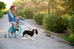 A little girl rides a teal bicycle with training wheels along a gravel path while her spaniel follows on a leash.