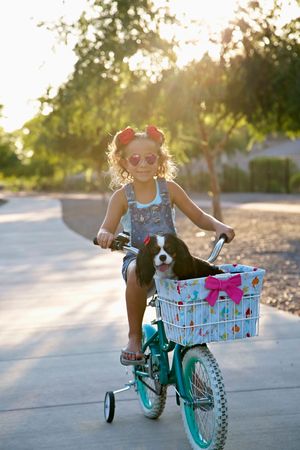A girl in heart sunglasses rides a teal bike with training wheels at golden hour, her spaniel riding in the floral basket.