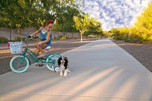 A girl on a teal bicycle with a basket rides down a sunlit paved path while her Cavalier King Charles Spaniel trots alongside.