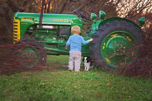 A toddler in a blue shirt stands beside a vintage green tractor with a small black and white dog on a grassy field.