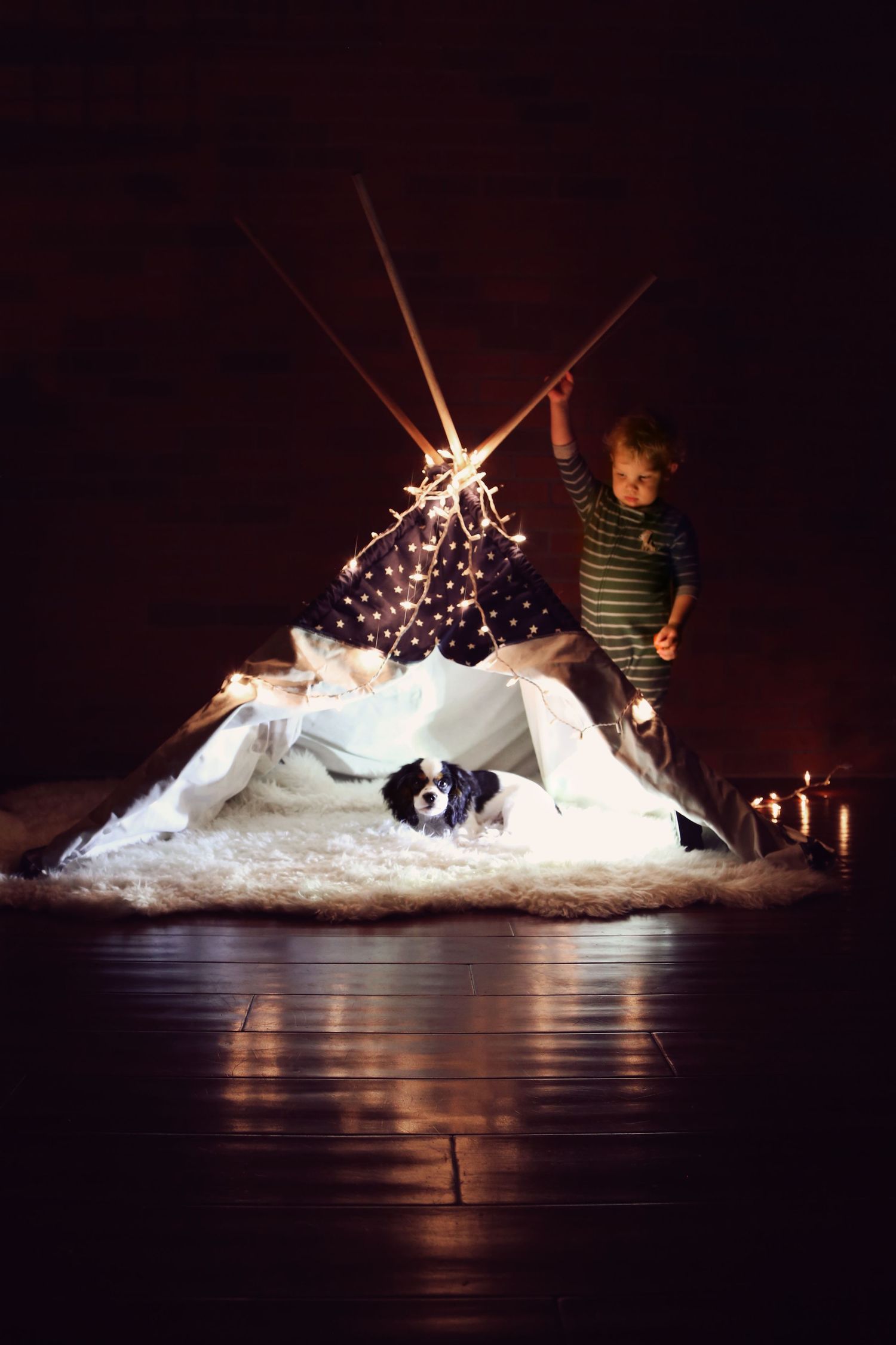 A toddler in a striped shirt reaches toward a string-lit teepee tent where a small black and white dog rests on a fluffy rug.