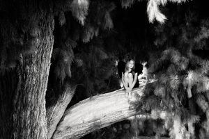 A black and white photo of a young girl sitting on a large tree branch among dark, drooping evergreen foliage.