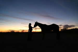 Silhouette of a woman gently touching a horse's face against a vibrant purple and orange sunset sky.