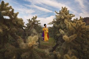 A pregnant woman in a yellow and rainbow maternity gown stands among tall cholla cacti under a cloudy blue sky.