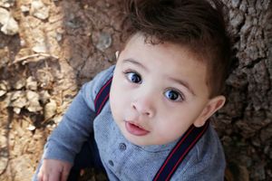 A toddler boy with dark hair and blue eyes looks up at the camera while sitting beside a tree in a gray shirt and suspenders.