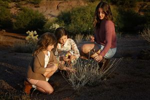 Three girls crouch and sit among desert plants at golden hour, exploring small wildflowers together.