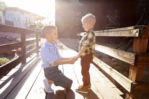 Two young boys shaking hands on a wooden walkway in warm golden sunlight beside a rustic wooden fence.