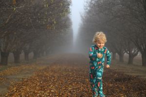 Smiling toddler in colorful pajamas running along a leaf-covered path through a misty orchard on an autumn morning.