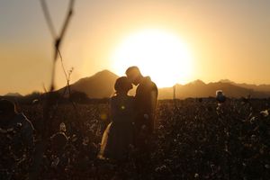 A couple stands in silhouette kissing in a cotton field at sunset, with mountains and a glowing golden sun behind them.