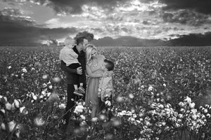 Black and white family portrait of two parents and two children embracing in a cotton field under a dramatic cloudy sky.