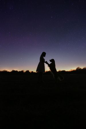 Silhouette of a girl holding the paws of her standing dog against a starry night sky with a faint purple horizon glow.