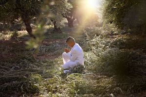 Man in white clothing kneels and prays in a sunlit olive grove as warm sunlight streams through the trees.