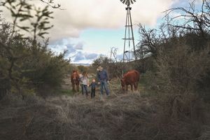 A family with two young children stands between two horses in a rural field with a windmill and cloudy sky in the background.