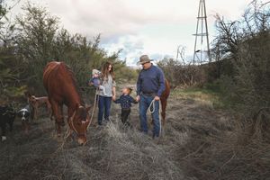 A woman, a man in a cowboy hat, and a toddler lead a chestnut horse and dogs through dry grass near a tall windmill.