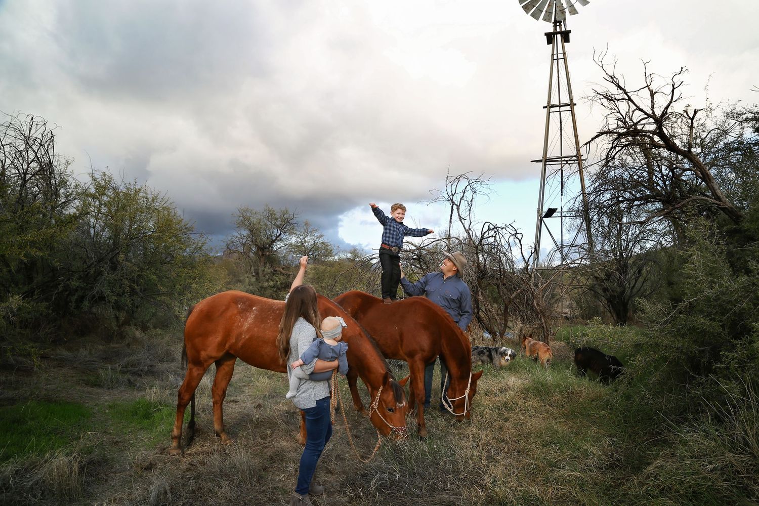 A family gathers around two chestnut horses in a brushy field beneath a windmill and stormy clouds.