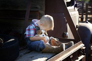 Young boy in a plaid shirt and cowboy boots sits on a wooden truck bed gently cuddling a brown and white puppy.