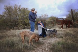 A man in a hat and a woman crouch outdoors petting two dogs in a dry grassy field with horses in the background.