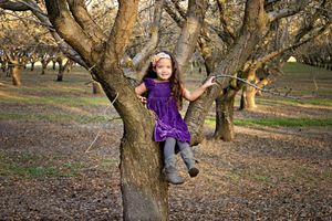 Smiling girl in a purple dress and gray boots sitting in a tree in an orchard at golden hour.