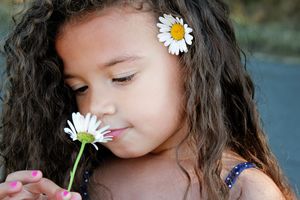 Little girl with long curly hair and a white daisy tucked behind her ear smelling a daisy flower outdoors.
