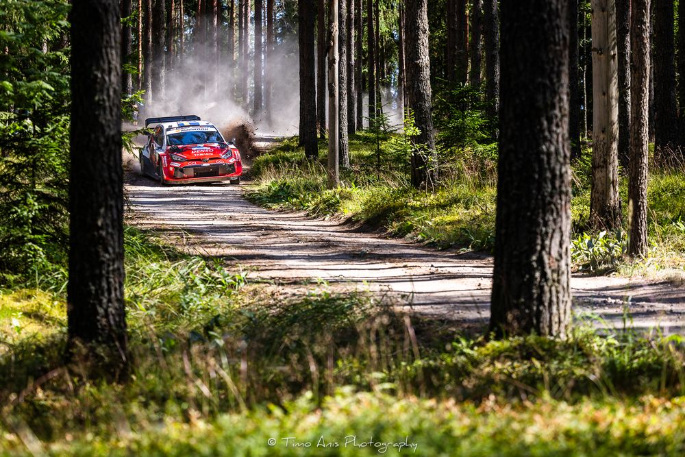 Red rally car speeds through a dusty forest road flanked by tall pine trees during a WRC rally stage.