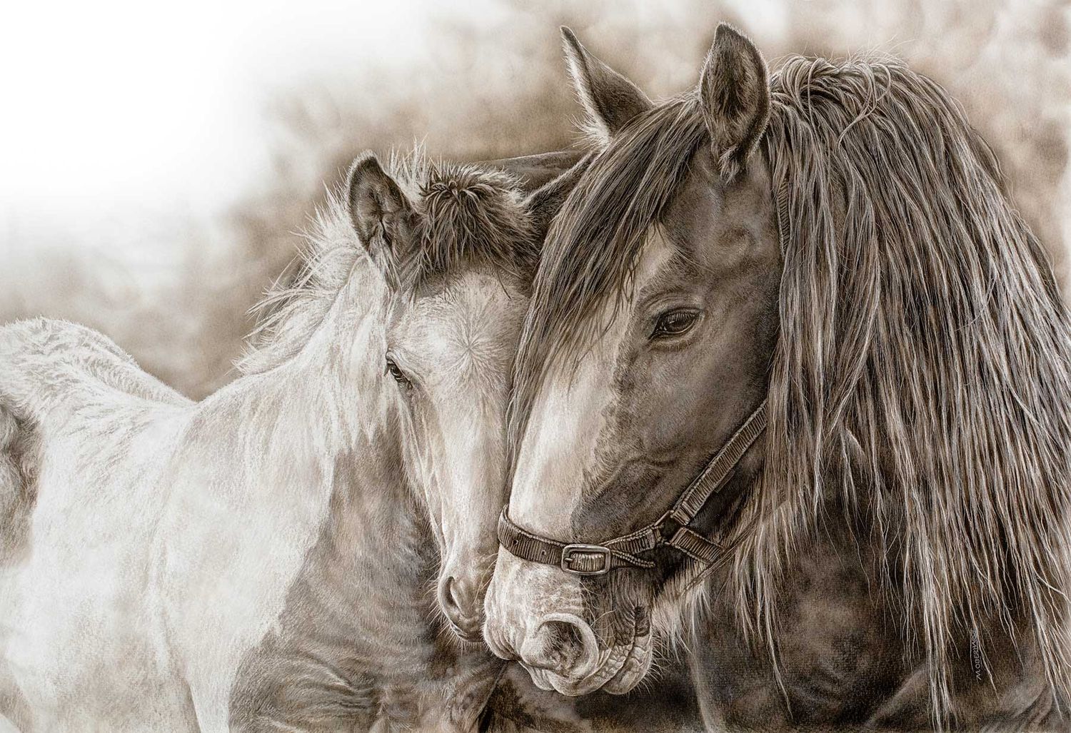 Artwork by Maegan Oberhardt reproduced on Archival Fine Art paper by Jason at JRP Studio