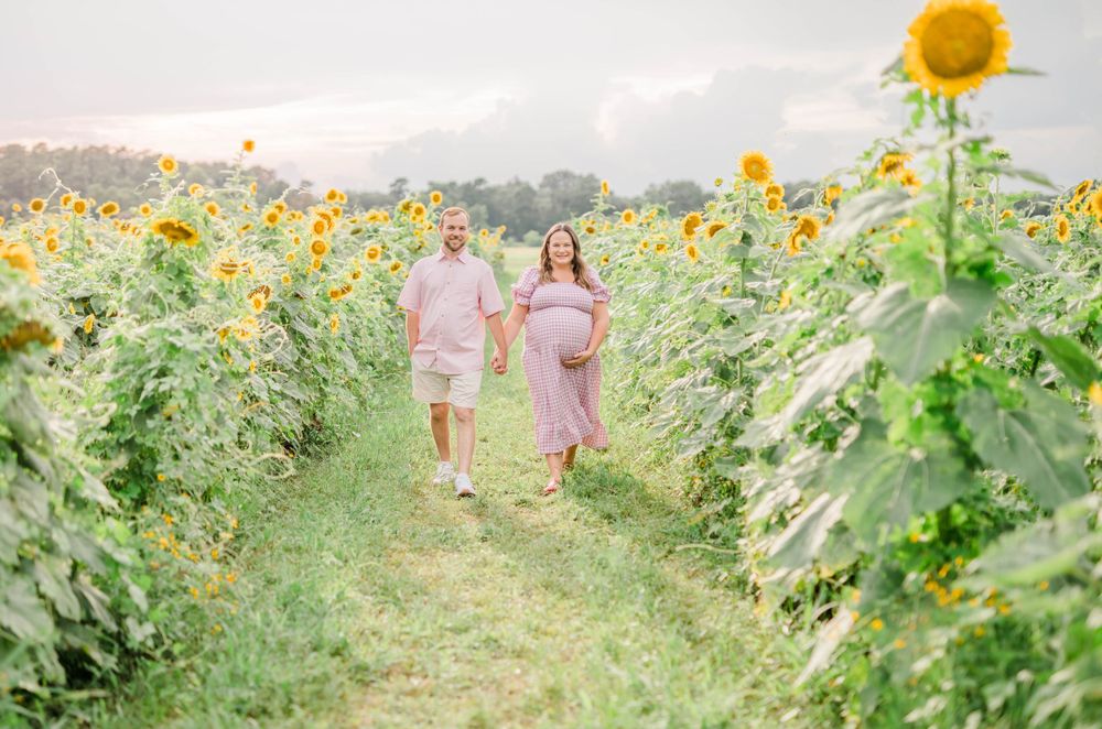 LSU AgCenter Sunflower mini session