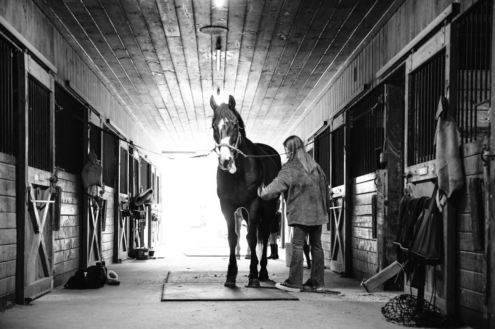 Girl with Horse Senior Photos Seacoast NH
