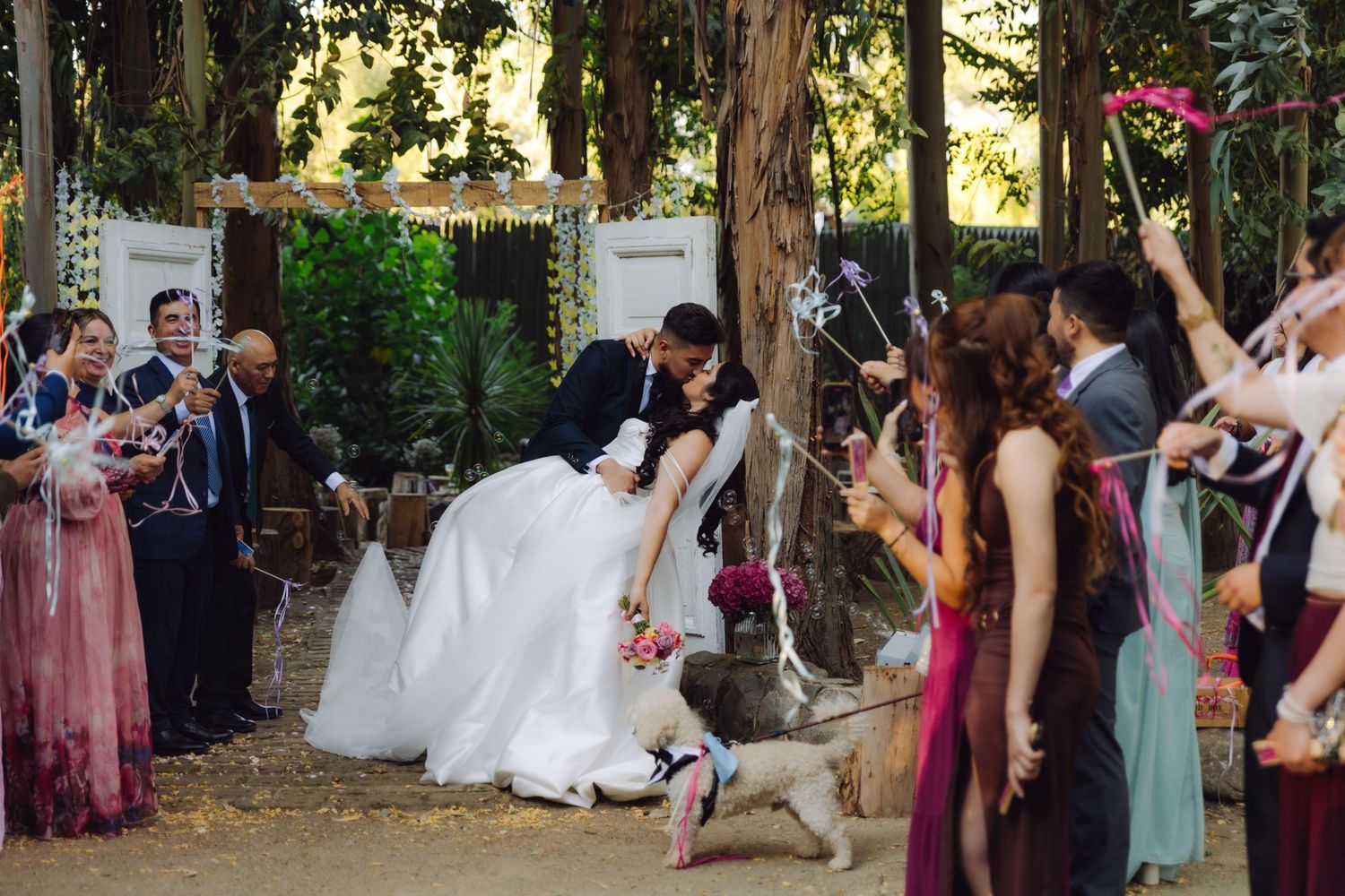 Groom dips bride for romantic kiss during ribbon wand sendoff with guests cheering at outdoor wedding.