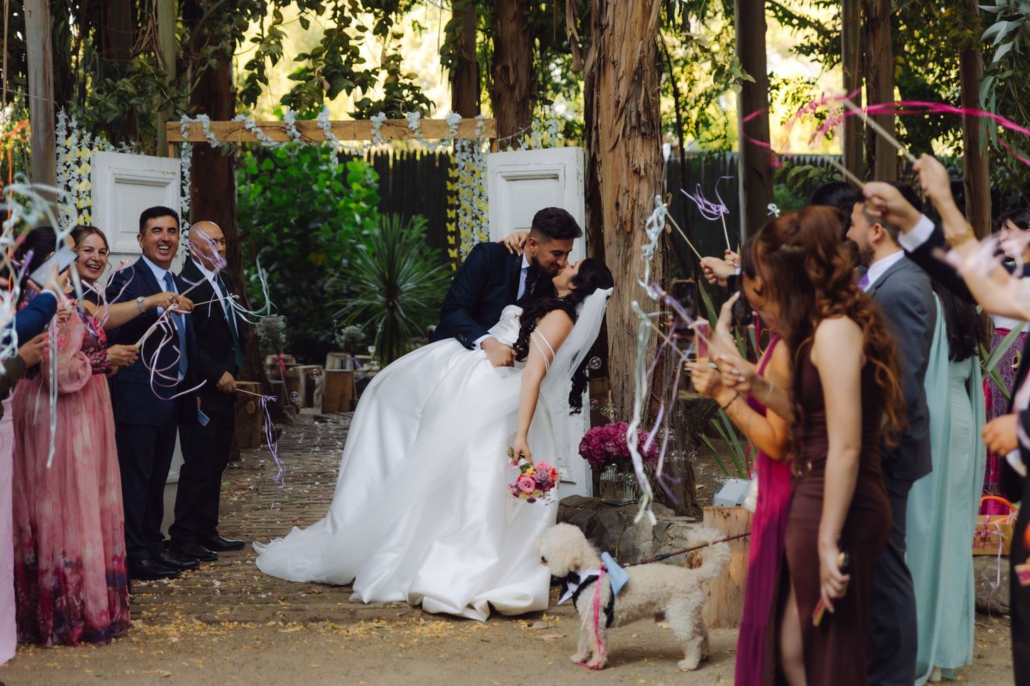 Groom dramatically dips bride in white gown for kiss during festive outdoor wedding ribbon sendoff.