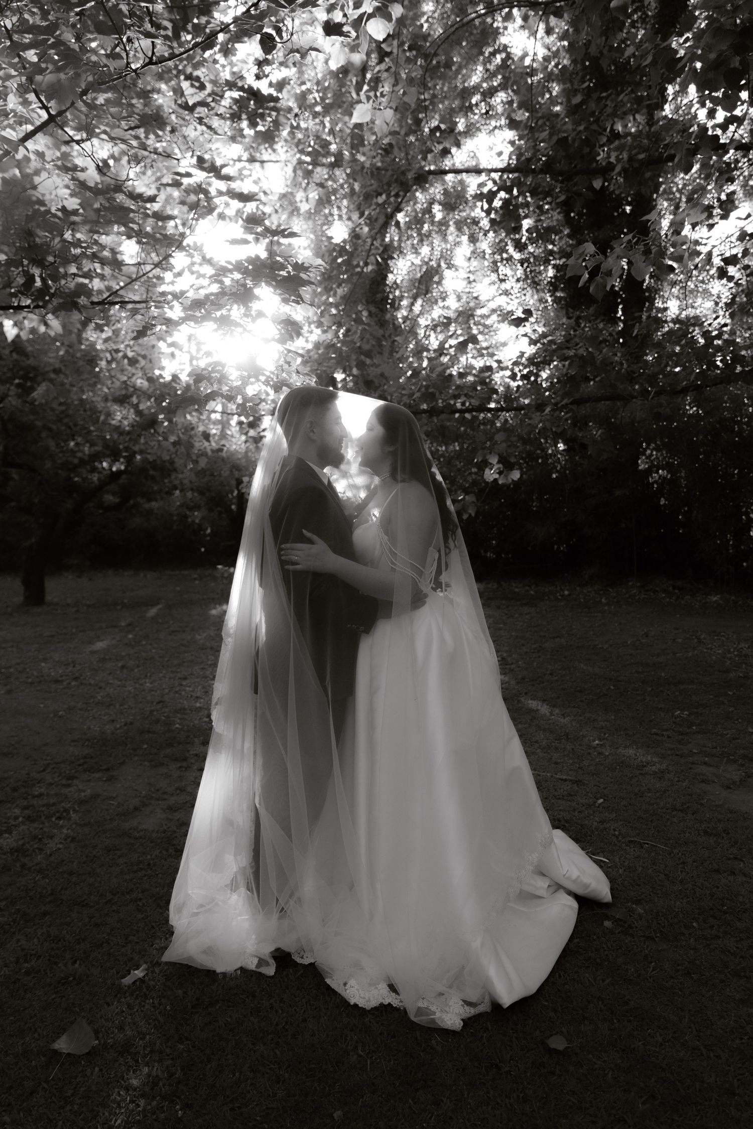Black and white wedding photo of couple kissing under veil beneath lush garden trees.