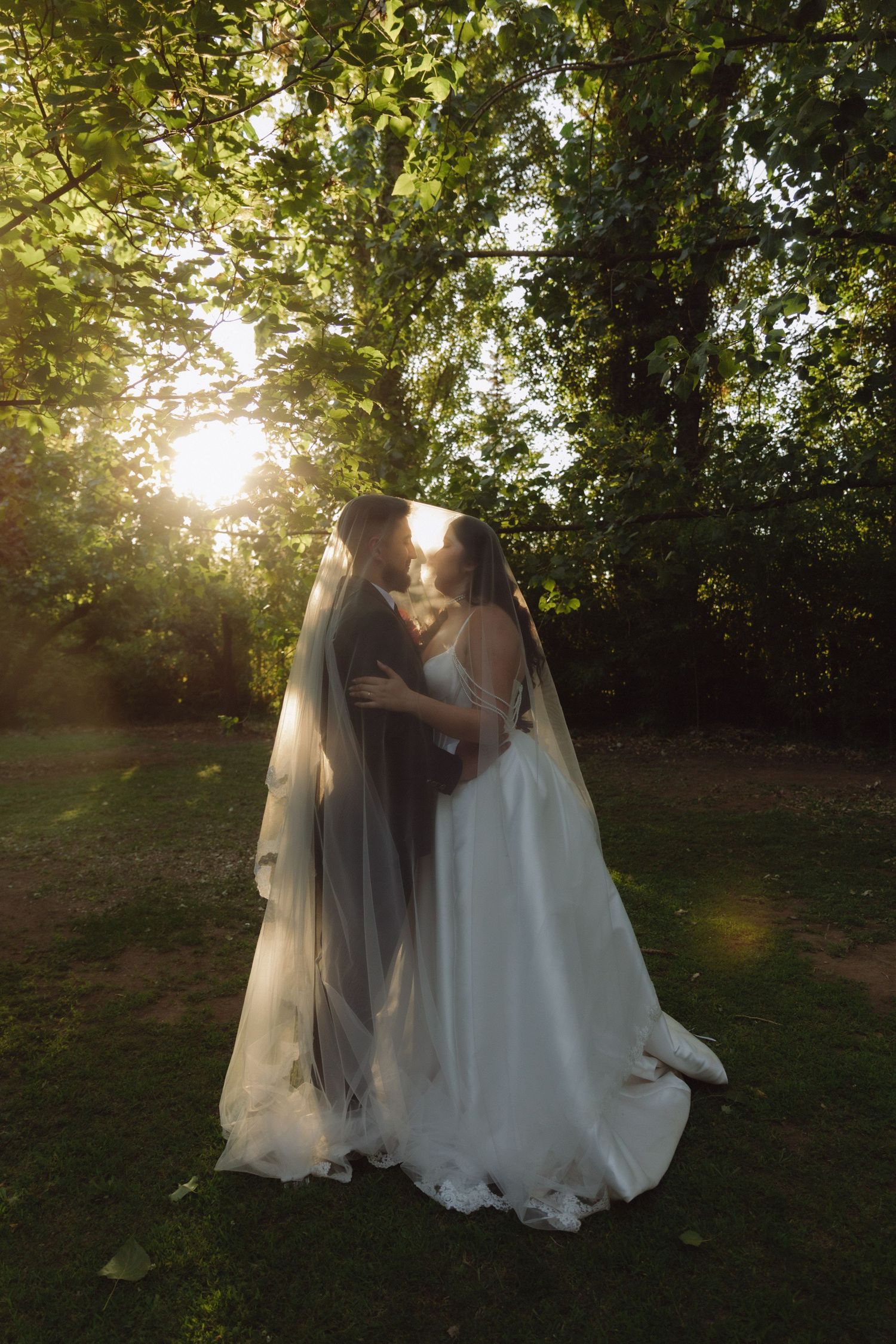 Bride and groom kissing under flowing veil in golden sunlight surrounded by green trees.
