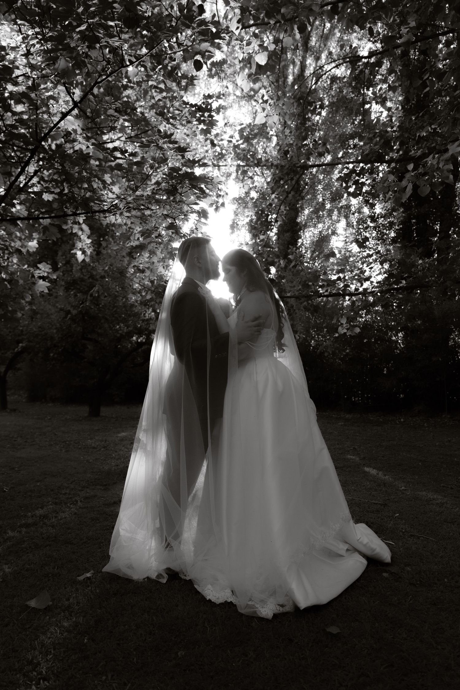 Black and white full-length wedding portrait of couple under veil in tree-lined garden.