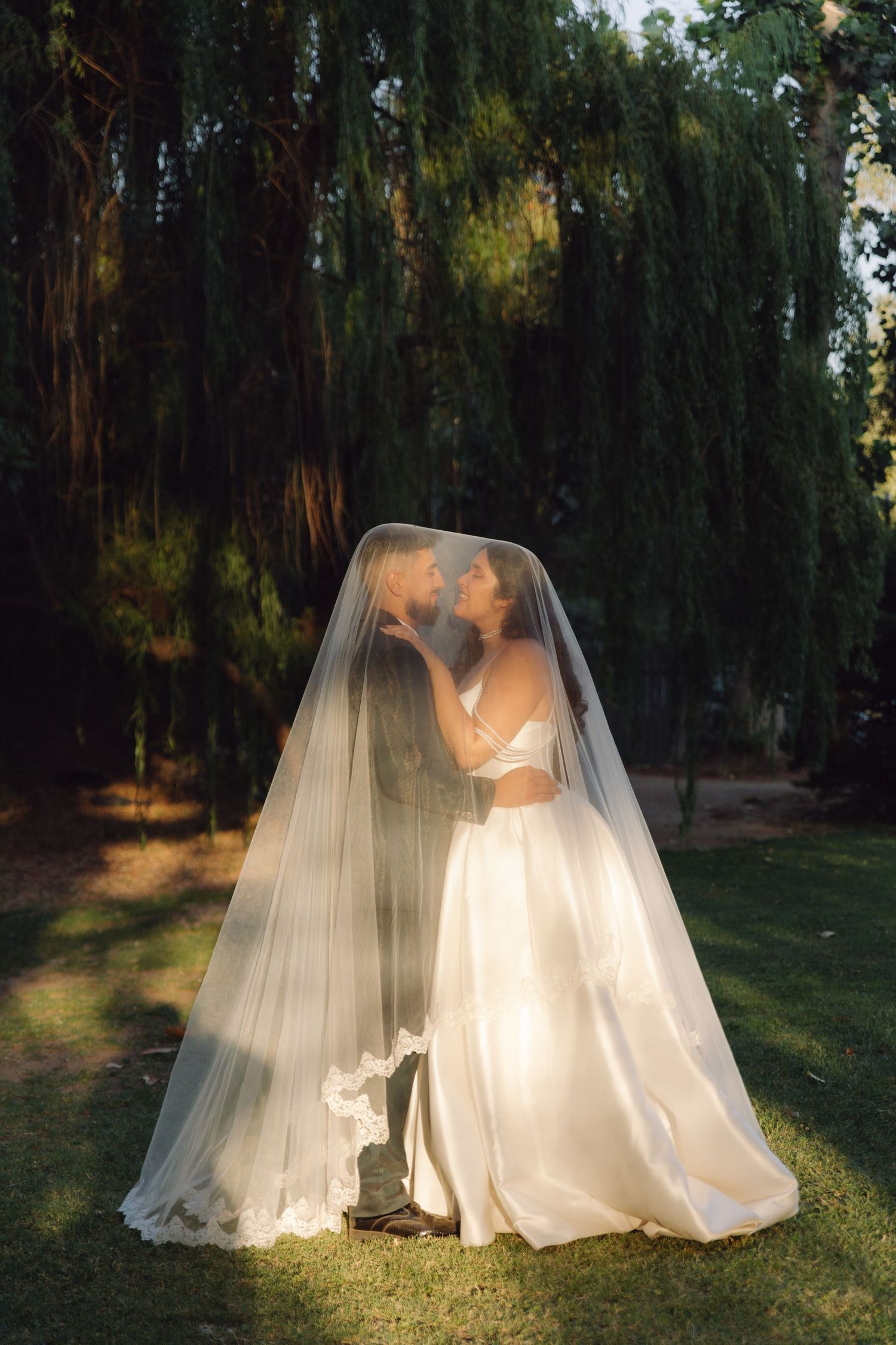 Bride and groom share an intimate kiss beneath a flowing bridal veil in a sunlit garden setting.