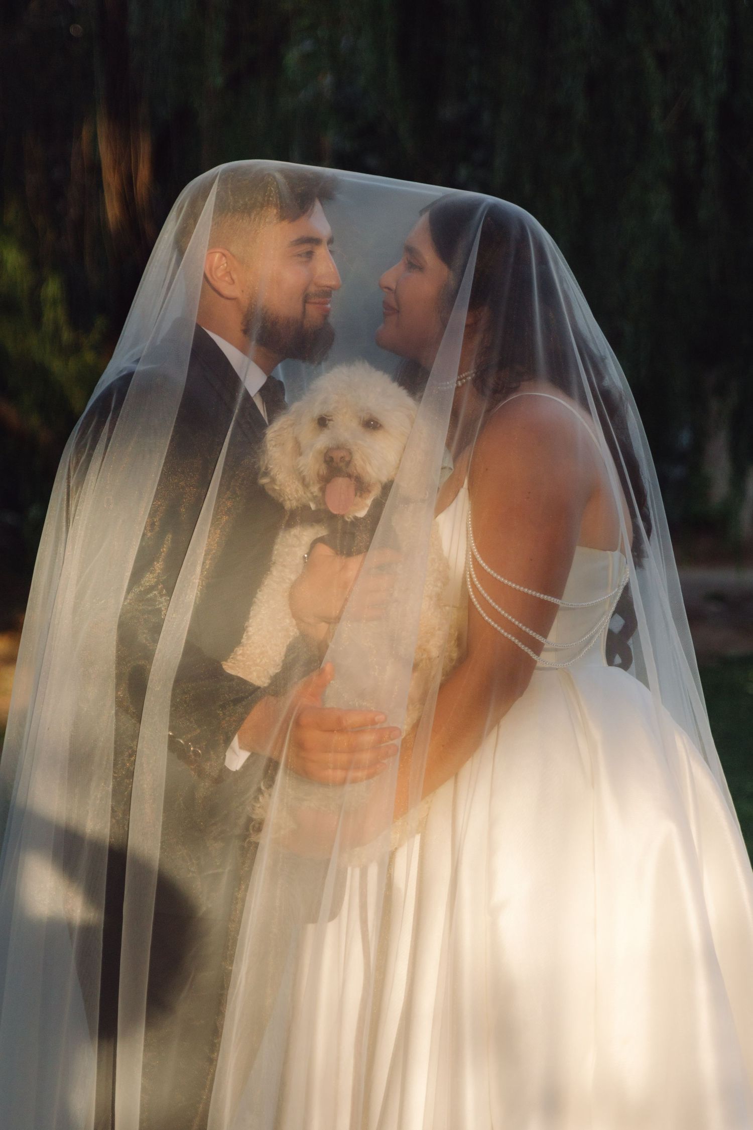 Bride and groom smile at each other while holding their white dog beneath a sheer bridal veil outdoors.