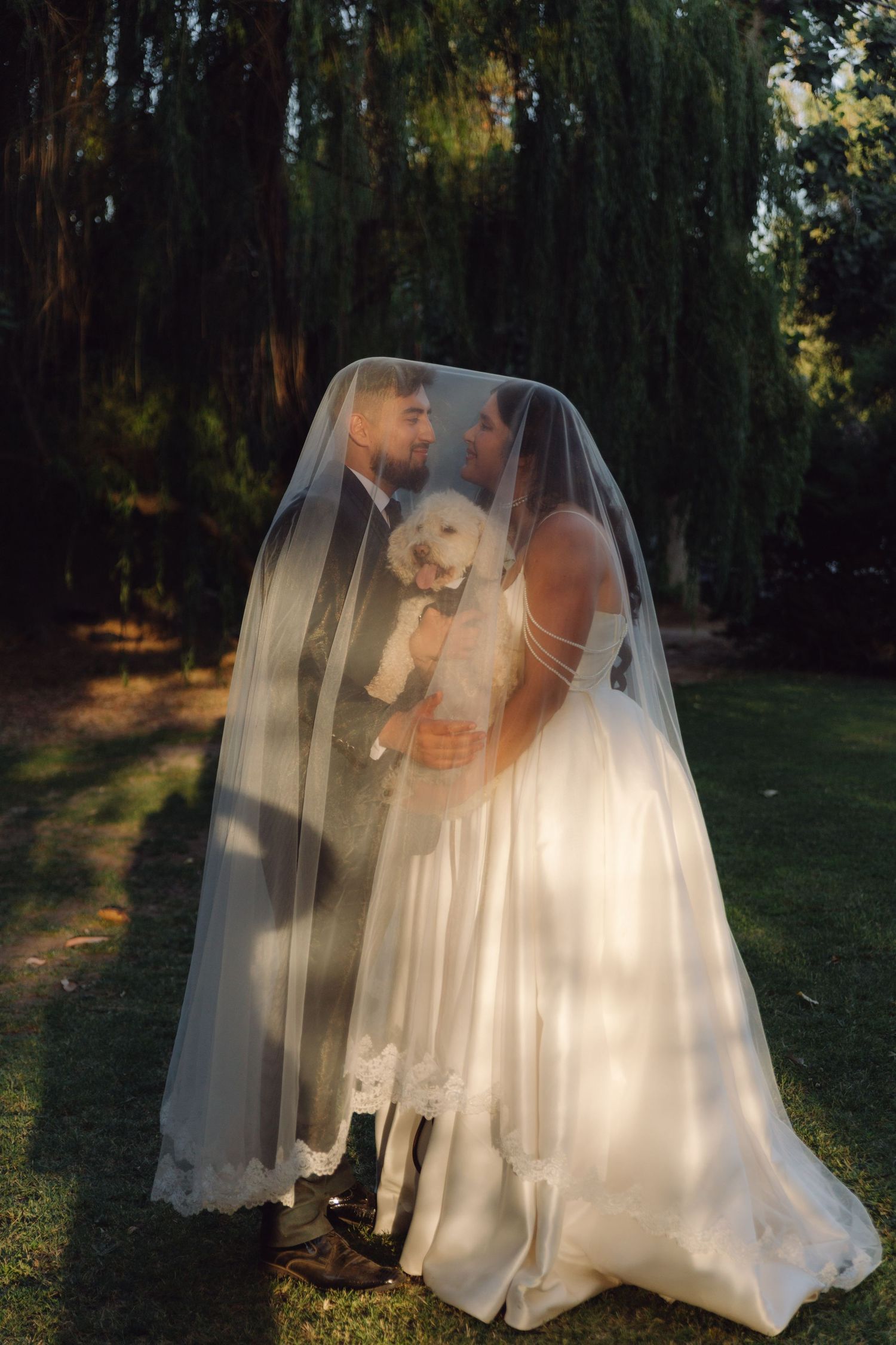 Newlyweds nearly kiss under a flowing veil while holding their small white dog in a sunlit garden.