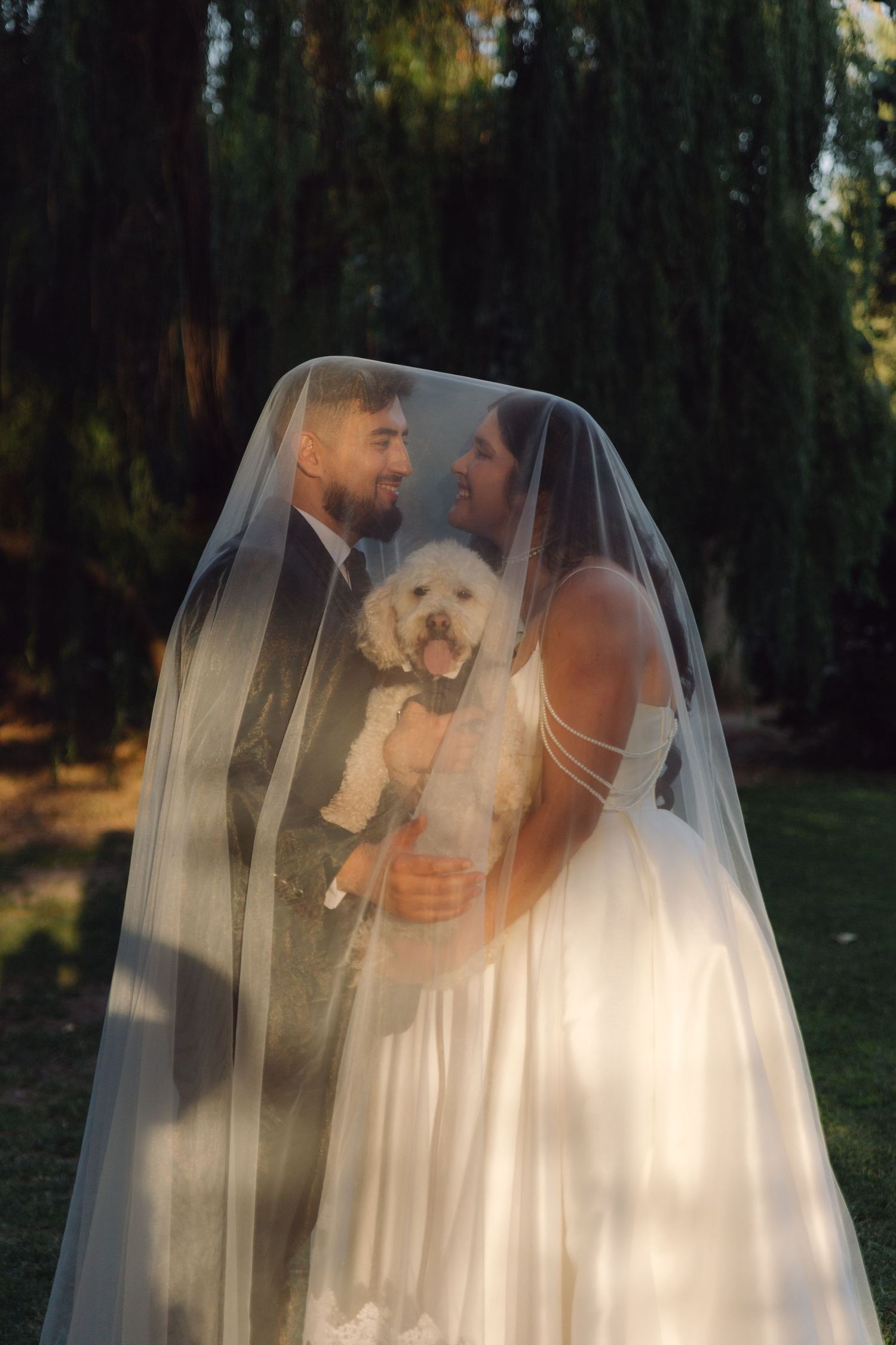 Bride and groom share a romantic moment under a wedding veil while holding their white fluffy dog outdoors.