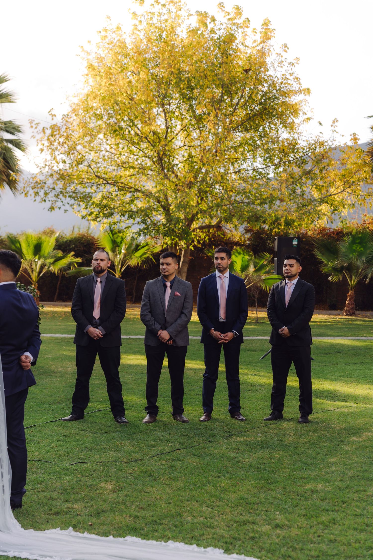 Four groomsmen in dark suits with pink ties stand attentively on a green lawn during a wedding ceremony.