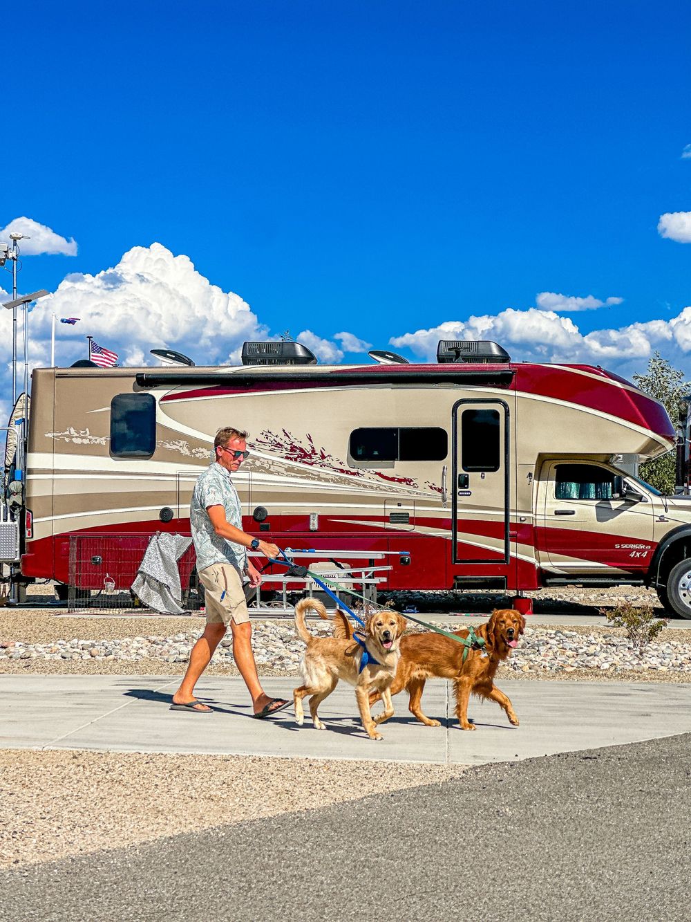 Man walking two golden retrievers in front of large red and white RV under blue sky.