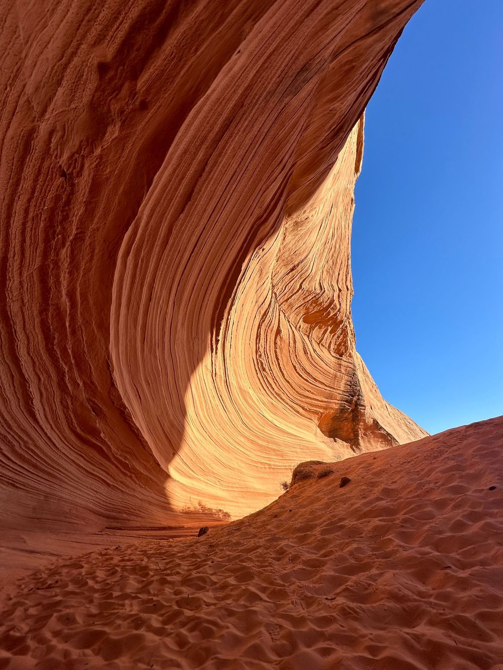 Dramatic curved red sandstone walls of The Wave formation under a clear blue Arizona sky.