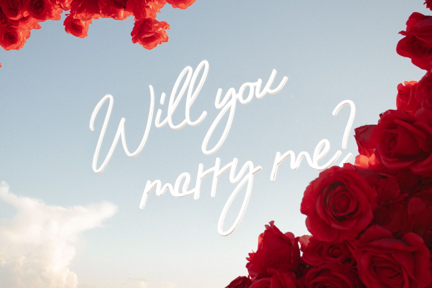 Romantic marriage proposal with red roses and cursive Will You Marry Me text against a blue sky.