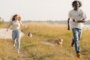 Couple running with two Corgis through a sunny field near a lake on a bright day.