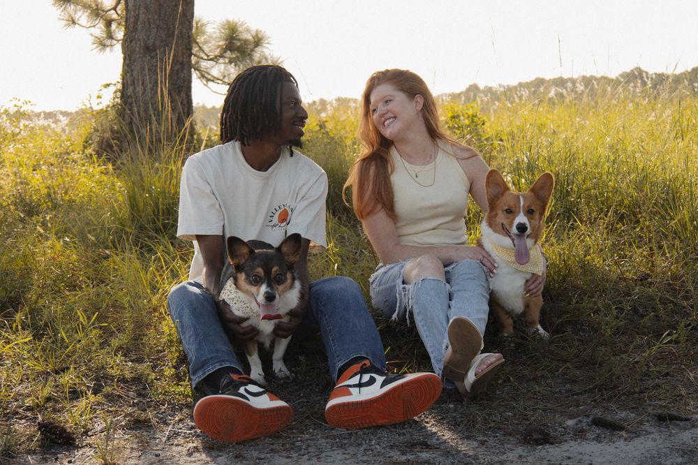 Young couple sitting in a sunny field each holding an adorable Corgi dog.