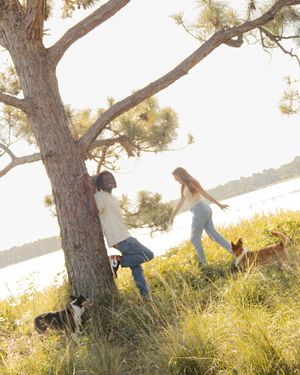 Two people and their dogs relaxing by a large tree near a lake on a sunny day.