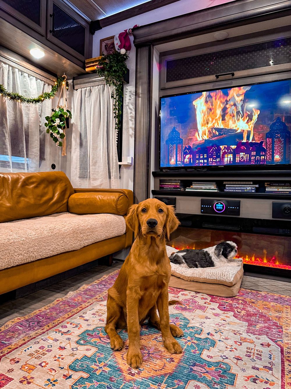 Cozy RV living room with leather sofa, large TV displaying fireplace, golden retriever puppy, and festive decor.