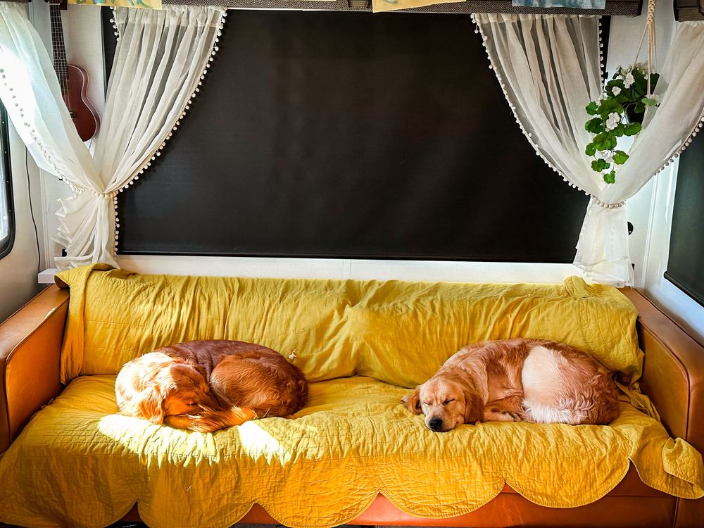 Two golden retrievers sleeping on a yellow sofa in a cozy RV interior.