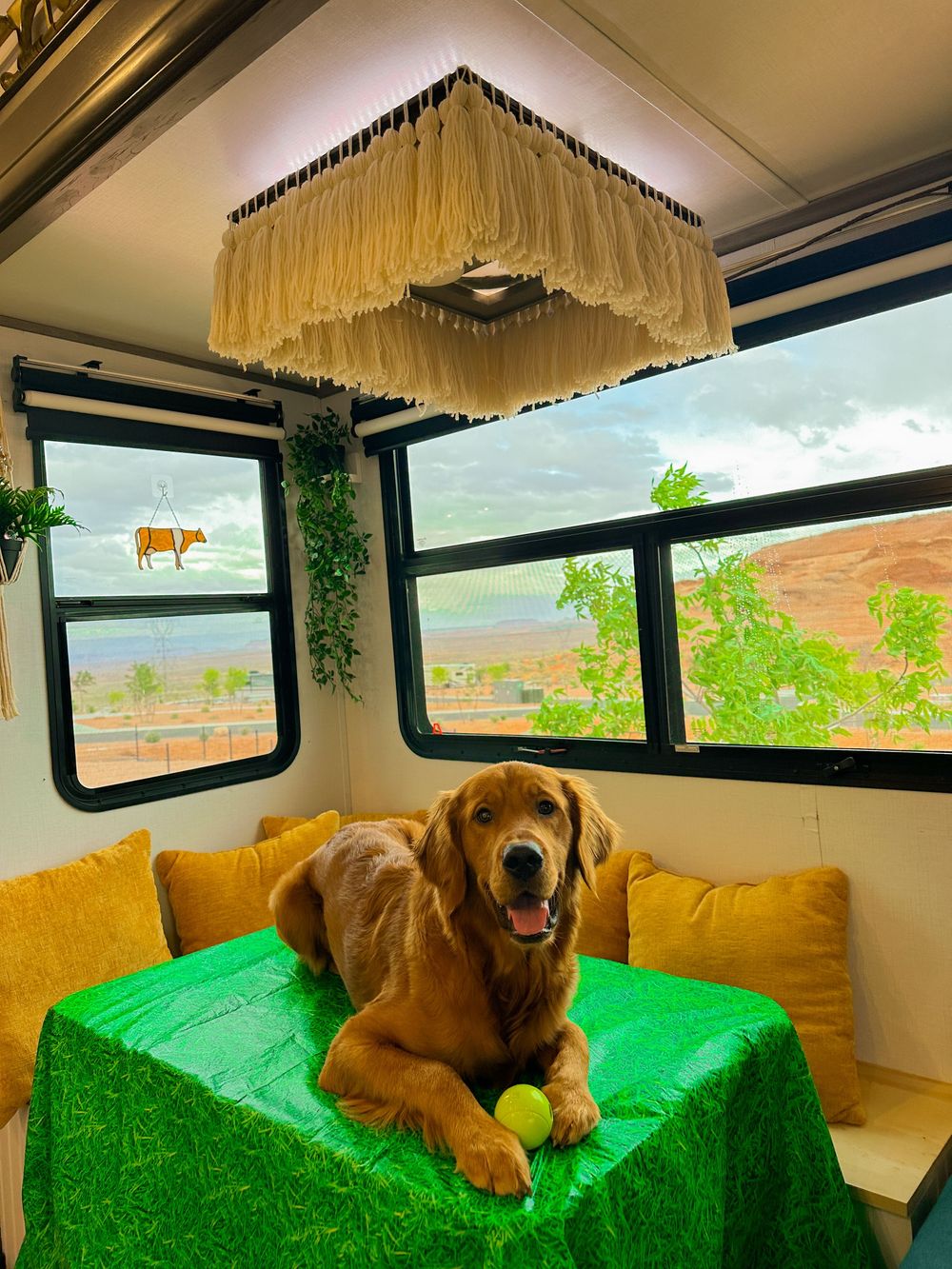 Happy golden retriever on green tablecloth in boho RV with fringe chandelier.